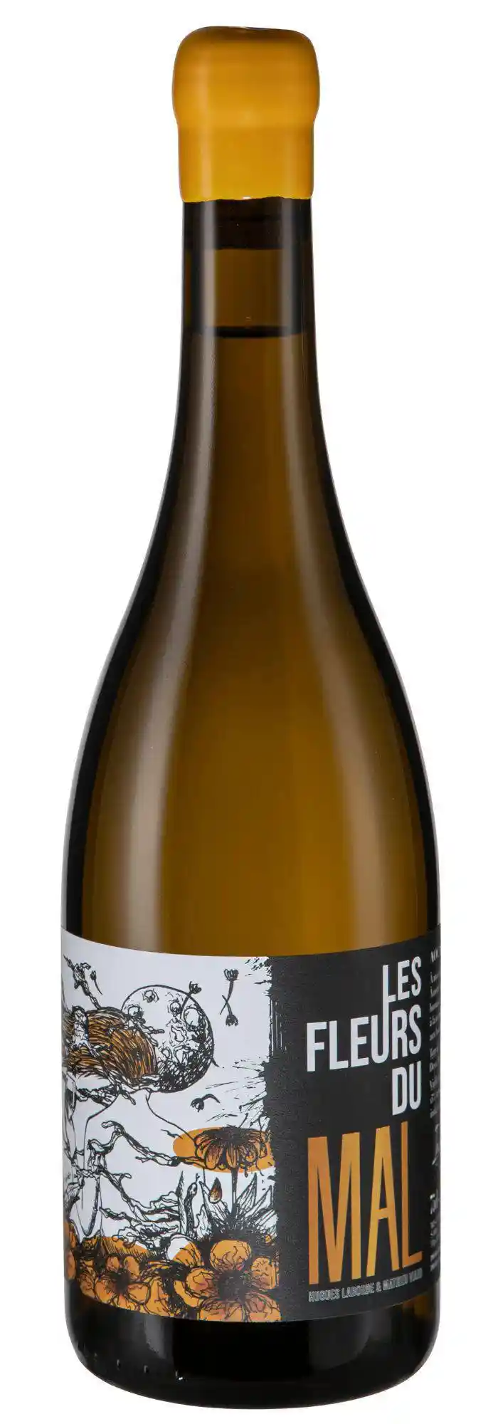 Hugues Laborde - Les Fleurs du Mal